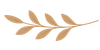 list